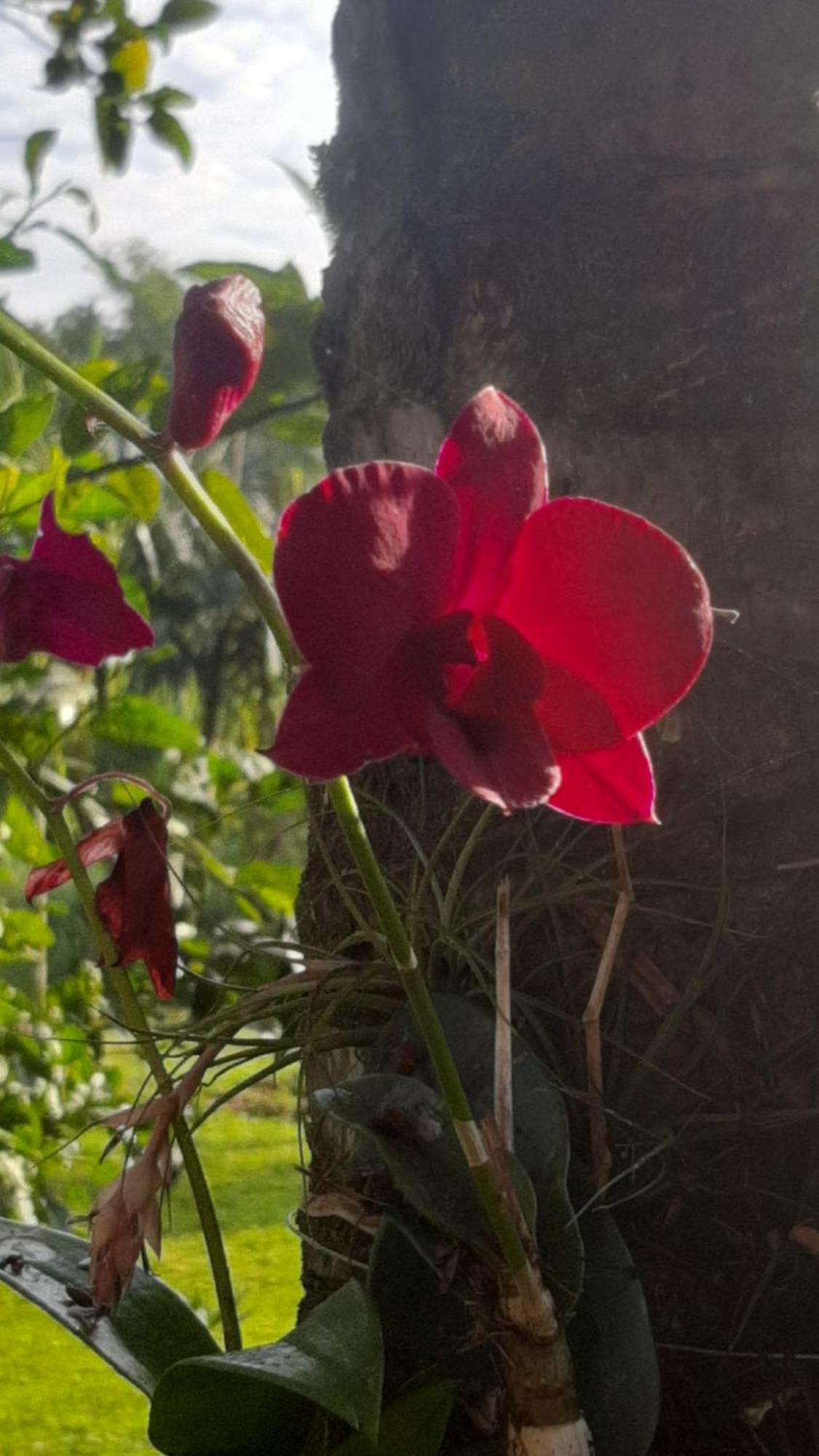 Rancho Esperanca, Pouso E Comida A Lenha Paraty