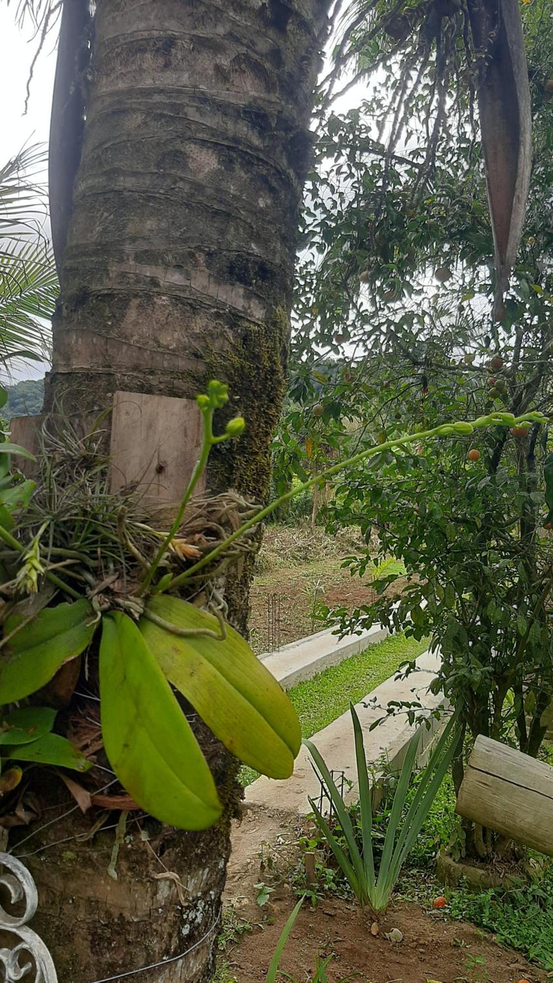 Rancho Esperanca, Pouso E Comida A Lenha Apartment *